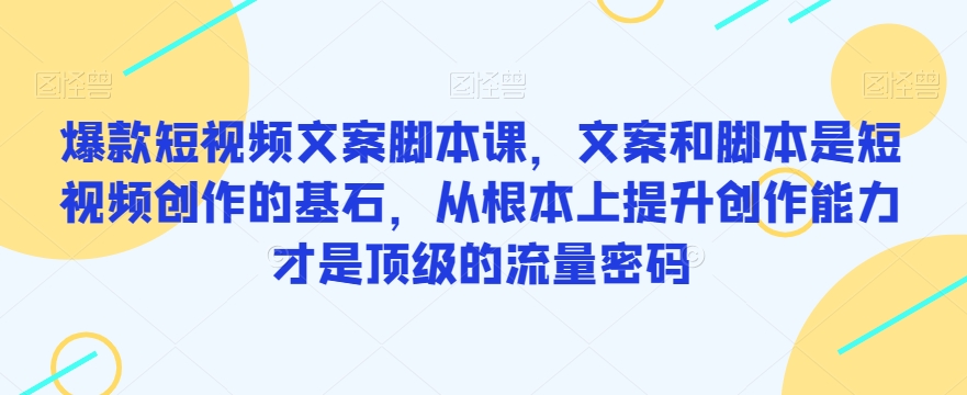 爆款短视频文案脚本课，文案和脚本是短视频创作的基石，从根本上提升创作能力才是顶级的流量密码-赚金金-技能学习分享