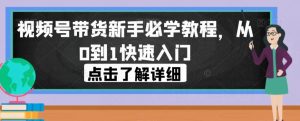 视频号带货新手必学教程,从0到1快速入门-赚金金-技能学习分享
