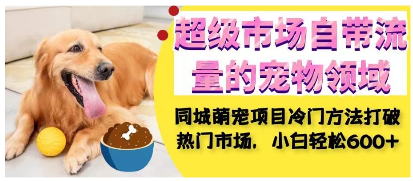 超级市场自带流量的宠物领域，同城萌宠项目冷门方法打破热门市场，小白轻松600+-赚金金-技能学习分享