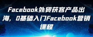 Facebook外贸获客产品出海，0基础入门Facebook营销课程-赚金金-技能学习分享
