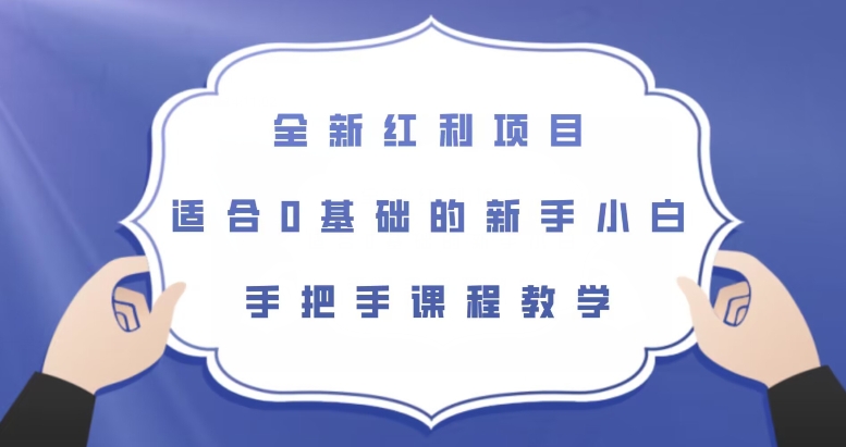 全新红利项目，适合0基础的新手小白，手把手课程教学【揭秘】-赚金金-技能学习分享