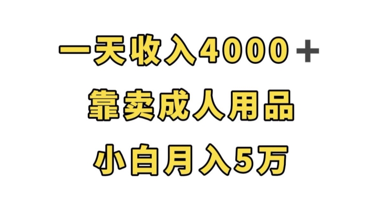 一天收入4000+，靠卖成人用品，小白轻松月入5万【揭秘】-赚金金-技能学习分享