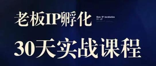 诸葛·2023老板IP实战课，实体同城引流获客，IP孵化必听-赚金金-技能学习分享