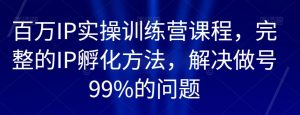 百万IP实操训练营课程，完整的IP孵化方法，解决做号99%的问题-赚金金-技能学习分享