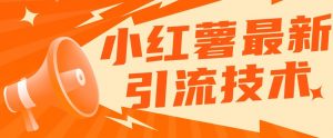 小红书最新引流技术,真正实现解放双手暴力引流-赚金金-技能学习分享