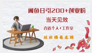 闲鱼精准引流创业粉，日引200+，当天见效，从此横着走-赚金金-技能学习分享