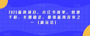 2023蓝海项目，小红书商单，快速千粉，长期稳定，最强蓝海没有之一（新玩法）-赚金金-技能学习分享