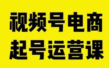 视频号电商起号运营课，教新人如何自然流起号，助力商家0-1突破-赚金金-技能学习分享
