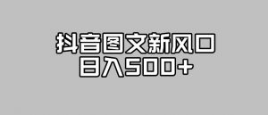 抖音图文最新风口,流量扶持非常高,日入500+【揭秘】-赚金金-技能学习分享