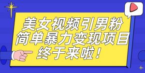 价值3980的男粉暴力引流变现项目,一部手机简单操作,新手小白轻松上手,每日收益500+【揭秘】-赚金金-技能学习分享