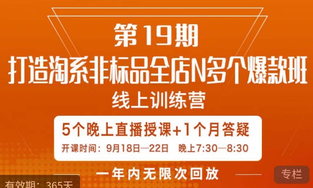 打造淘系非标全店N多个爆款线上课，​5天直播课-赚金金-技能学习分享