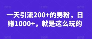 一天引流200+的男粉,日赚1000+,就是这么玩的【揭秘】-赚金金-技能学习分享