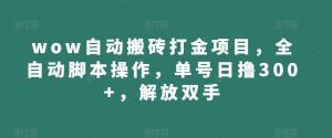 wow自动搬砖打金项目,全自动脚本操作,单号日撸300+,解放双手【揭秘】-赚金金-技能学习分享