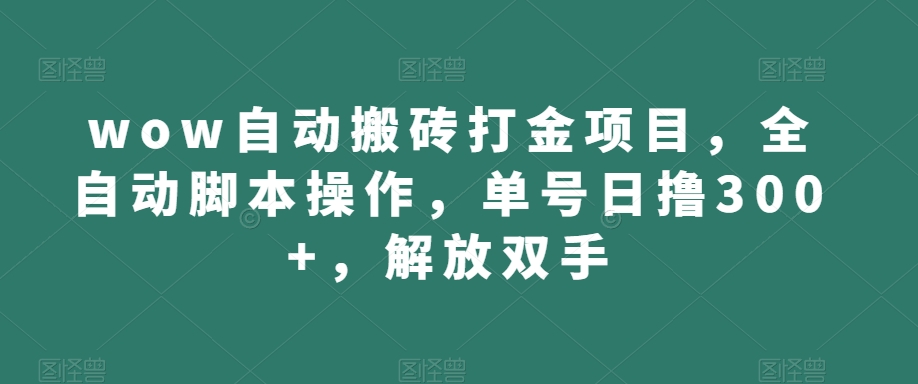 wow自动搬砖打金项目，全自动脚本操作，单号日撸300+，解放双手【揭秘】-赚金金-技能学习分享