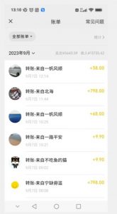 卖古籍电子书,作品只需要简单的图片去重,高客单价高利润,月入五位轻轻松松-赚金金-技能学习分享