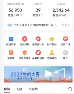 全新蓝海,西瓜视频流量掘金项目,简单上手适合0基础小白,暴力玩法日入500+【揭秘】-赚金金-技能学习分享