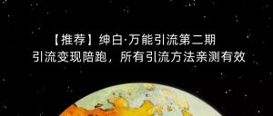【推荐】绅白·万能引流第二期,引流变现陪跑,所有引流方法亲测有效-赚金金-技能学习分享