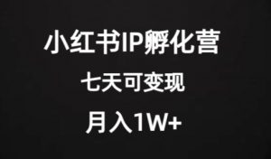 价值2000+的小红书IP孵化营项目,超级大蓝海,七天即可开始变现,稳定月入1W+-赚金金-技能学习分享