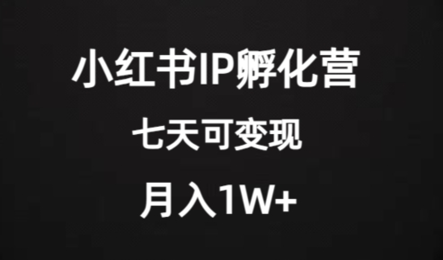 价值2000+的小红书IP孵化营项目，超级大蓝海，七天即可开始变现，稳定月入1W+-赚金金-技能学习分享