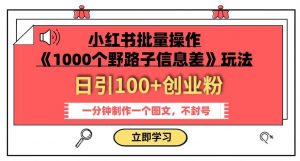 小红书批量操作《1000个野路子信息差》玩法,一分钟制作一个图文,不封号,日引100+创业粉-赚金金-技能学习分享