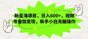 新蓝海项目,日入600+,视频号叠加变现,新手小白无脑操作【揭秘】-赚金金-技能学习分享