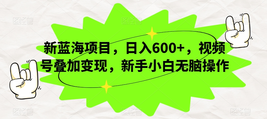 新蓝海项目，日入600+，视频号叠加变现，新手小白无脑操作【揭秘】-赚金金-技能学习分享
