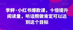 李鲆·小红书爆款课，十倍提升阅读量，听话照做肯定可以达到这个目标-赚金金-技能学习分享