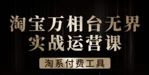 沧海·淘系万相台无界实战运营课,万相台无界实操全案例解析-赚金金-技能学习分享