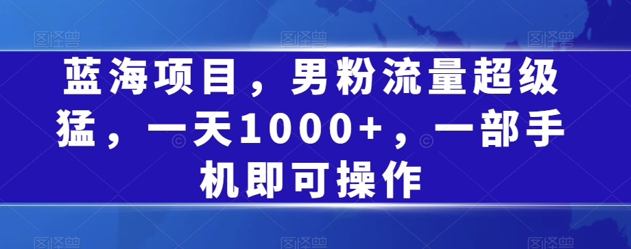 蓝海项目，男粉流量超级猛，一天1000+，一部手机即可操作【揭秘】-赚金金-技能学习分享