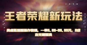 王者荣耀新玩法,卖虚拟国服操作教程,一单6.88-99.99元,0成本无限贩卖【揭秘】-赚金金-技能学习分享