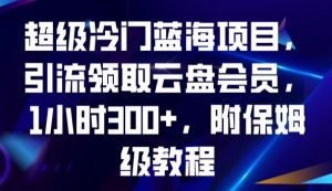 超级冷门蓝海项目,引流领取云盘会员,1小时300+,附保姆级教程-赚金金-技能学习分享