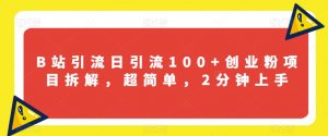 B站引流日引流100+创业粉项目拆解,超简单,2分钟上手【揭秘】-赚金金-技能学习分享