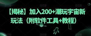 【揭秘】加入200+潮玩宇宙新玩法(附软件工具+教程)-赚金金-技能学习分享
