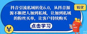 抖音引流私域转化6.0，从抖音源源不断把人加到私域，让加到私域的粉丝买单，让客户持续购买-赚金金-技能学习分享
