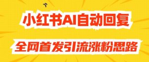 【原创开发】小红书AI自动回复，全网首发引流涨粉思路-赚金金-技能学习分享