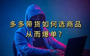 多多视频带货选什么商品链接才能爆单,10分钟教会你,爆单不是浮云【揭秘】-赚金金-技能学习分享