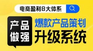 电商盈利8大体系 ·产品做强爆款产品策划系统升级线上课,全盘布局更能实现利润突破-赚金金-技能学习分享