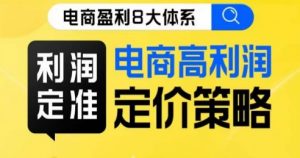 8大体系利润篇·利润定准电商高利润定价策略线上课-赚金金-技能学习分享