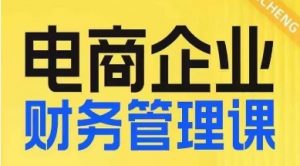 电商企业财务管理线上课,为电商企业规划财税-赚金金-技能学习分享