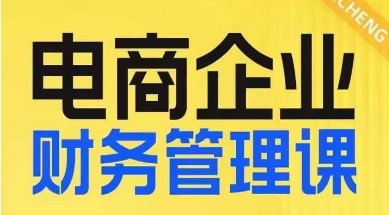 电商企业财务管理线上课，为电商企业规划财税-赚金金-技能学习分享