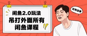 闲鱼2.0玩法单号每天日入2000，吊打市面所有课程-赚金金-技能学习分享