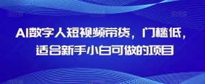 AI数字人短视频带货,门槛低,适合新手小白可做的项目-赚金金-技能学习分享