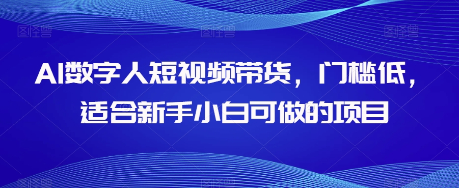 AI数字人短视频带货，门槛低，适合新手小白可做的项目-赚金金-技能学习分享