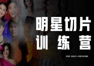 王子·明星切片线上训练营（2023），和明星一起拿红利，让明星为我们赚钱-赚金金-技能学习分享
