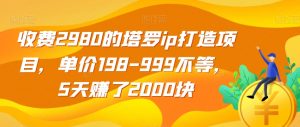 收费2980的塔罗ip打造项目，单价198-999不等，5天赚了2000块【揭秘】-赚金金-技能学习分享