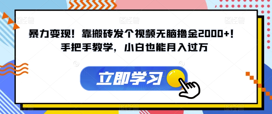 暴力变现！靠搬砖发个视频无脑撸金2000+！手把手教学，小白也能月入过万【揭秘】-赚金金-技能学习分享