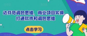 达芬奇调色思维,商业项目实操,打通软件和调色思维-赚金金-技能学习分享