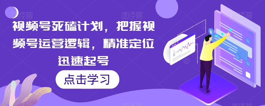 视频号死磕计划，把握视频号运营逻辑，精准定位迅速起号-赚金金-技能学习分享