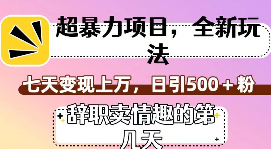 超暴利项目，全新玩法（辞职卖情趣的第几天），七天变现上万，日引500+粉【揭秘】-赚金金-技能学习分享