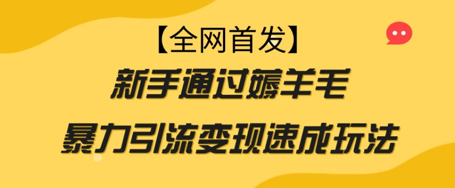 【全网首发】新手通过薅羊毛暴力引流变现速成玩法-赚金金-技能学习分享